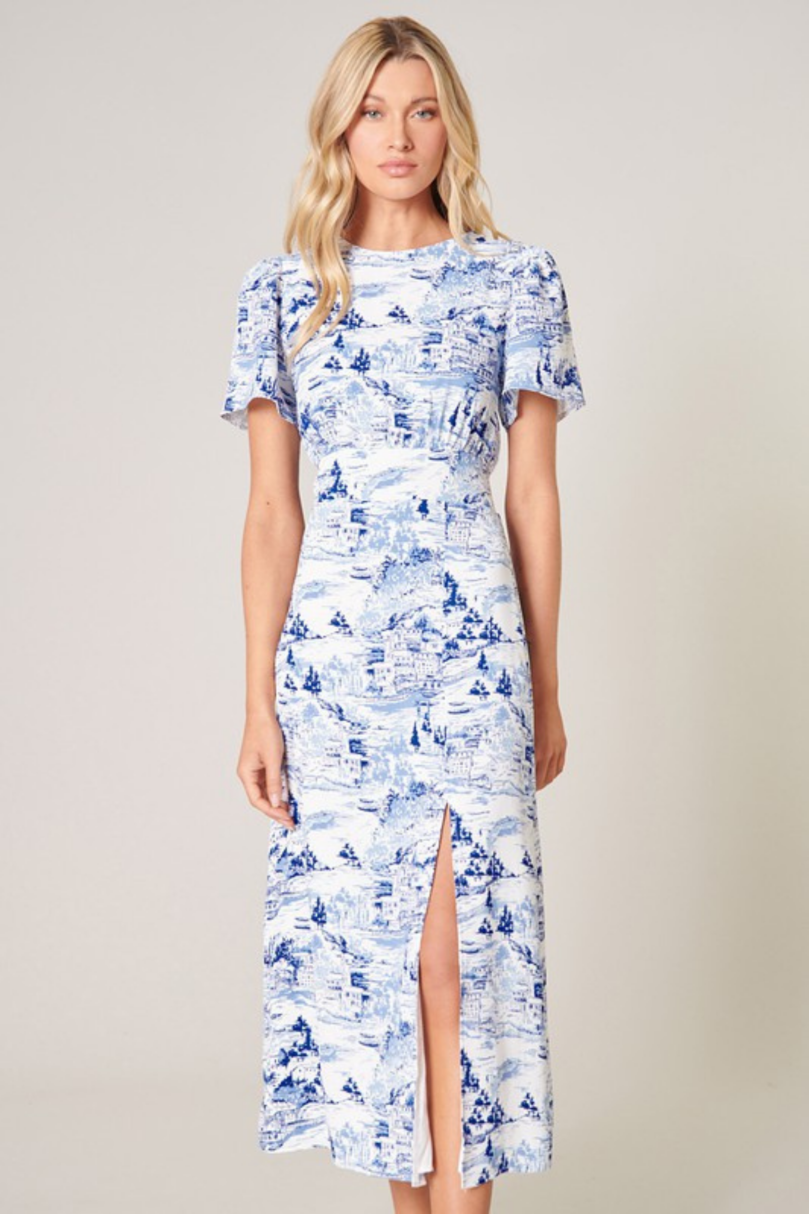 Francine Sky Midi Dress