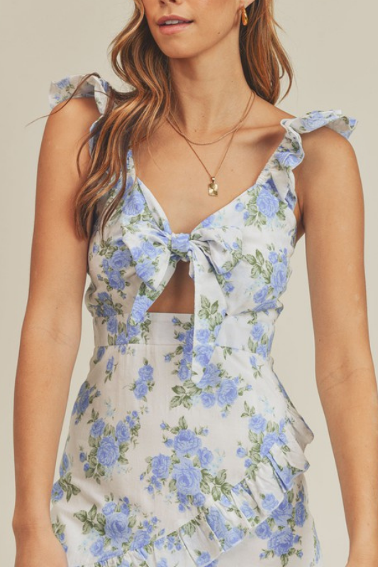 Mariah Floral Ruffle Dress