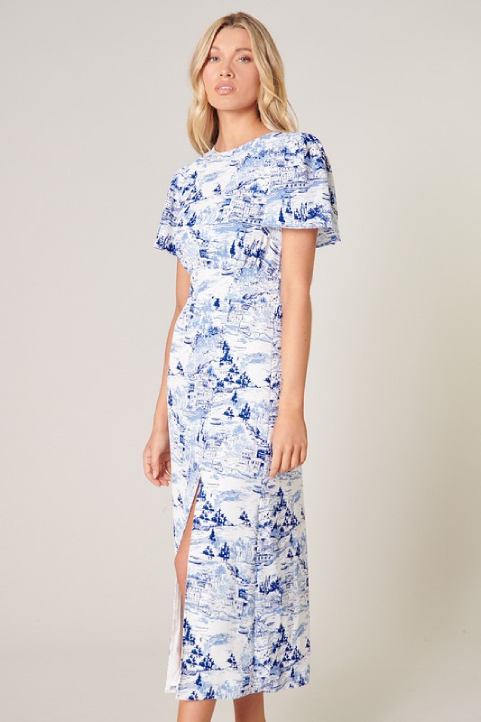 Francine Sky Midi Dress